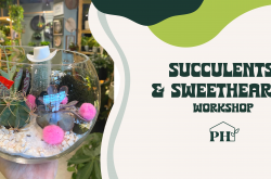 Succulents & Sweethearts Workshop